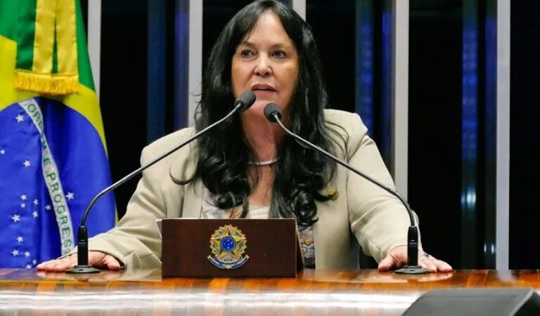 Senadora Rose de Freitas encaminha solução para construção do enrocamento da margem norte do Rio Doce, em Colatina