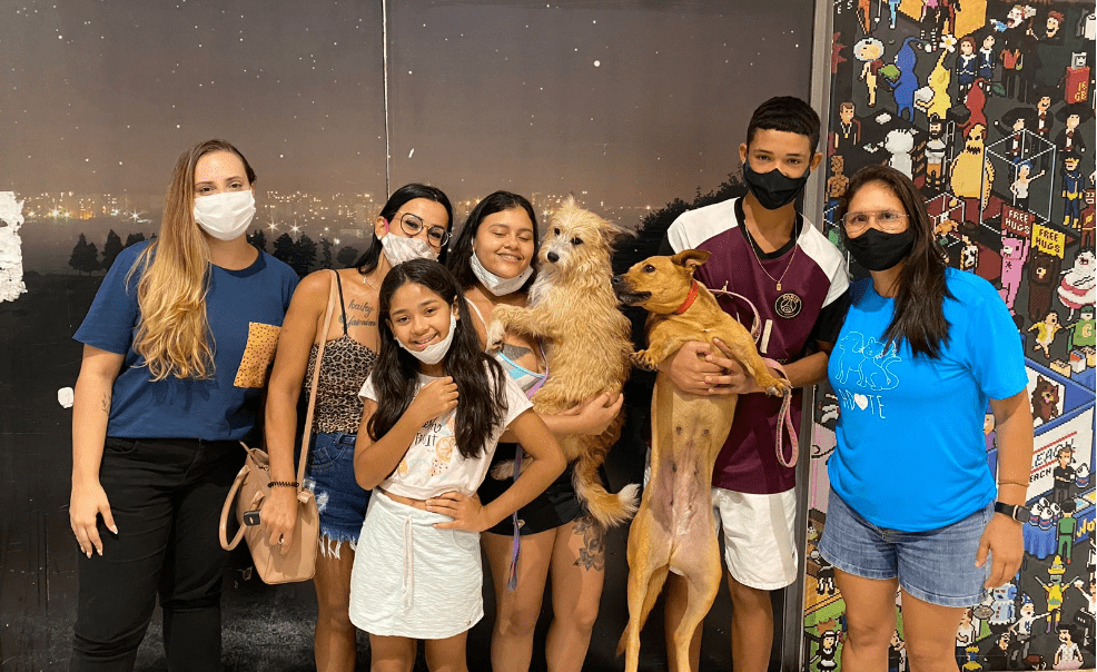 Cariacica: Feira de Adoção de Cães e Gatos no próximo sábado (26) no Shopping Moxuara