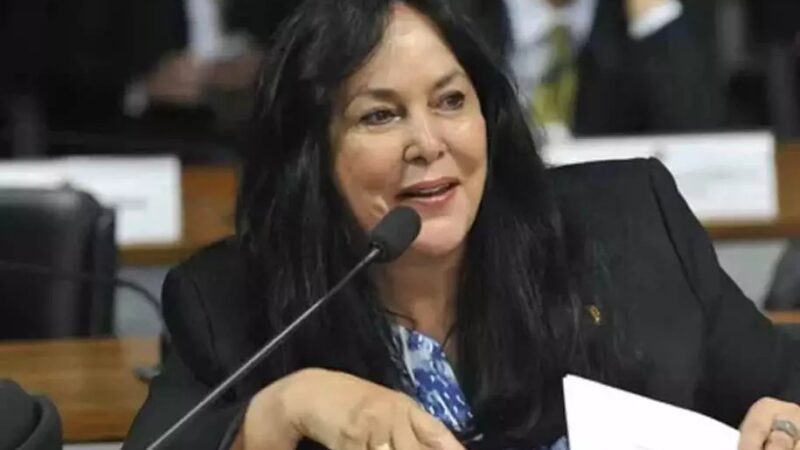 “Precisamos muito da voz feminina no parlamento”, afirma Senadora Rose de Freitas em webinário sobre mulheres na política
