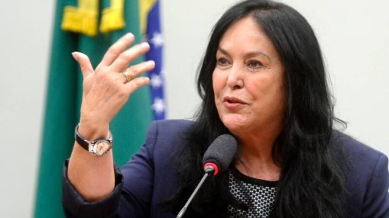 Senadora Rose de Freitas conta com apoio dos prefeitos do Espírito Santo