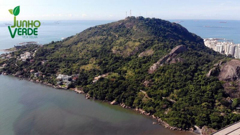 Vila Velha: mutirão de plantio de mudas no Morro do Moreno neste sábado (25)