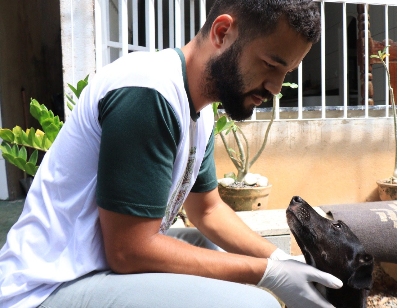 É o Bicho! resgata cachorro em situação de vulnerabilidade em Viana