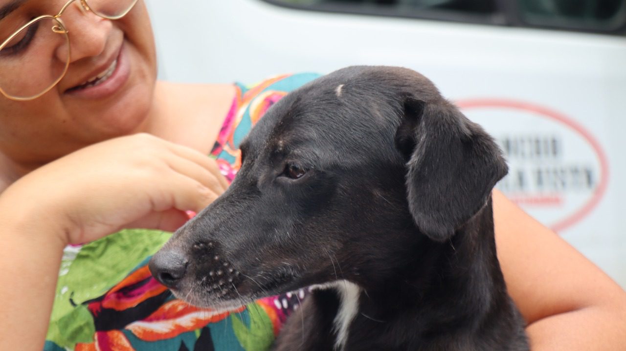 Final feliz para cachorrinha resgatada em Viana, Luna voltou para casa com sua tutora