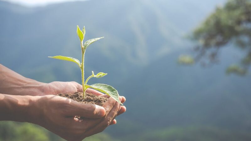 ​Produtores rurais de Vila Velha despertam para importância da agroecologia