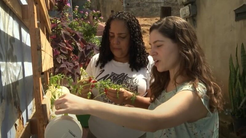 Fapes apoia projeto de hortas comunitárias em bairro de Vitória