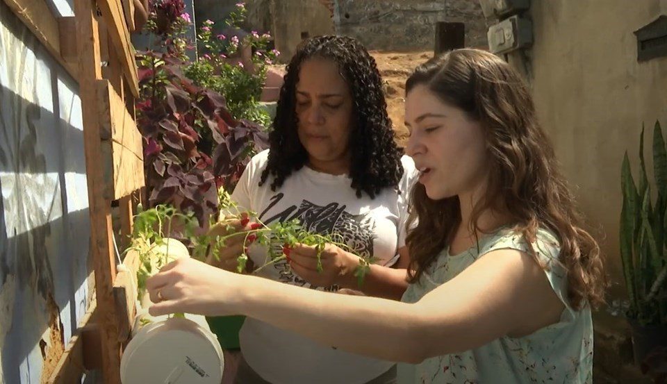 Fapes apoia projeto de hortas comunitárias em bairro de Vitória