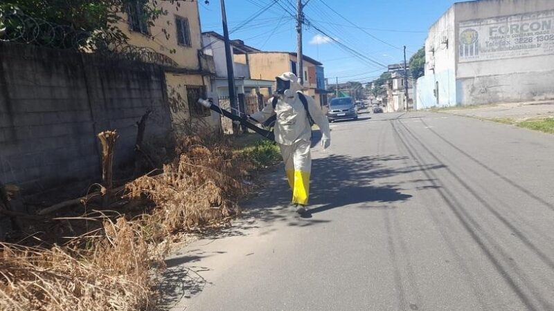 Número de casos de dengue cai no município da Serra