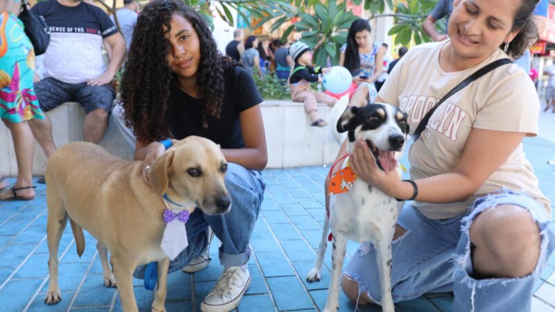 Cães ganham novas famílias em feira de adoção realizada pela Prefeitura de Cariacica