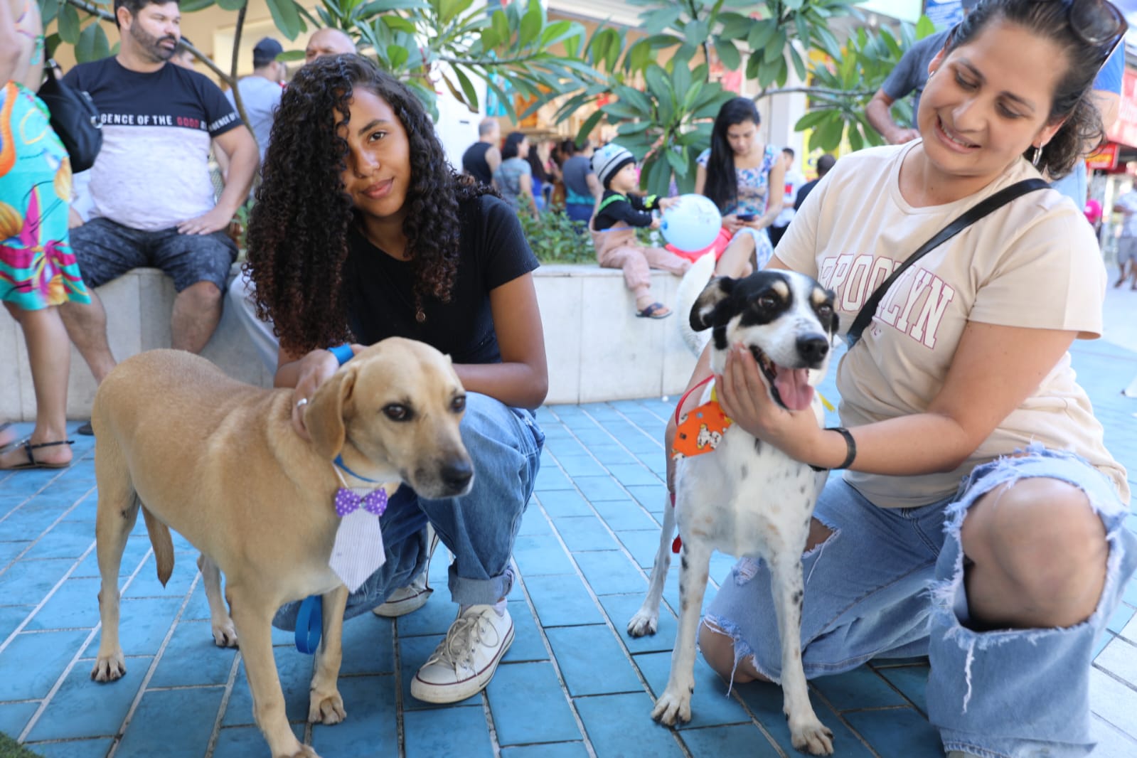 Cães ganham novas famílias em feira de adoção realizada pela Prefeitura de Cariacica