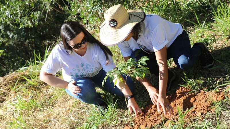 Plantio de mudas marca o Dia Mundial do Meio Ambiente em Cariacica