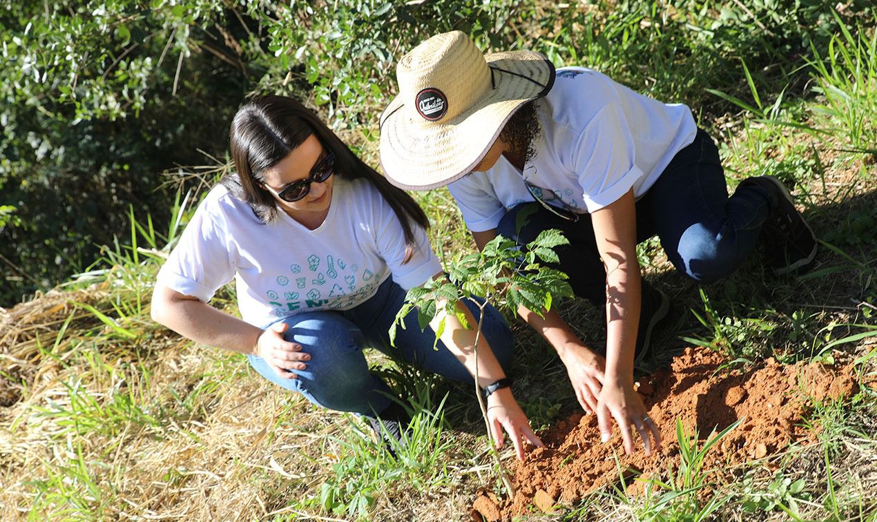 Plantio de mudas marca o Dia Mundial do Meio Ambiente em Cariacica