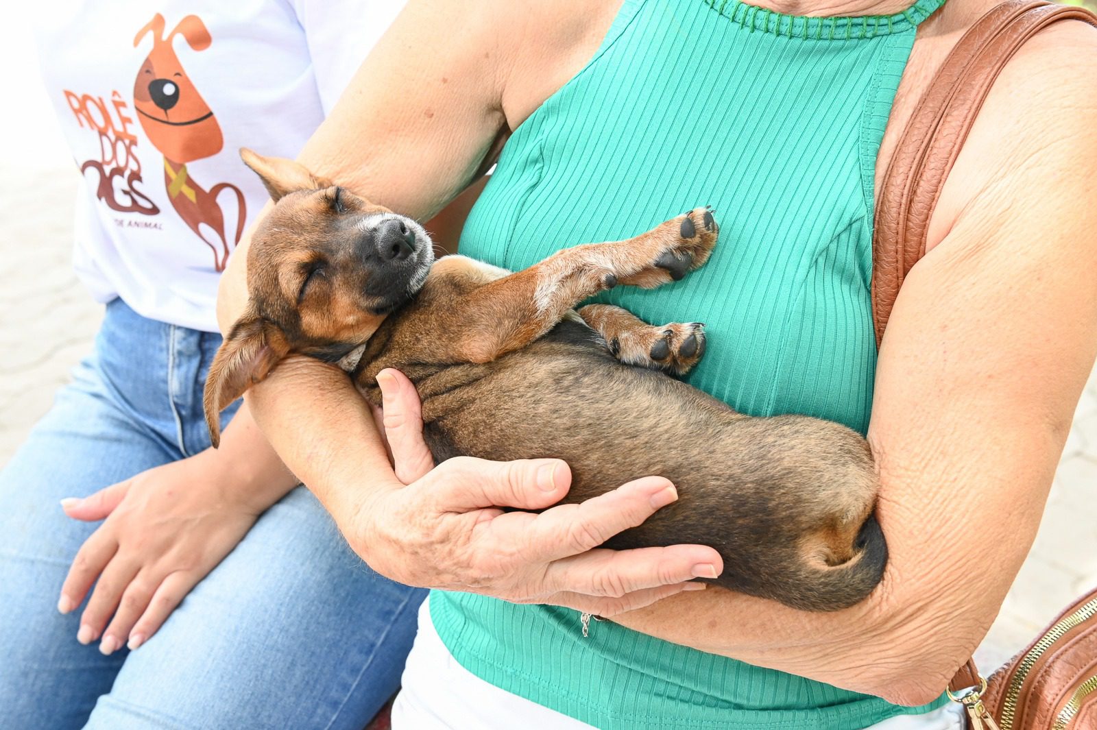 Vitória realiza evento de adoção de animais neste final de semana