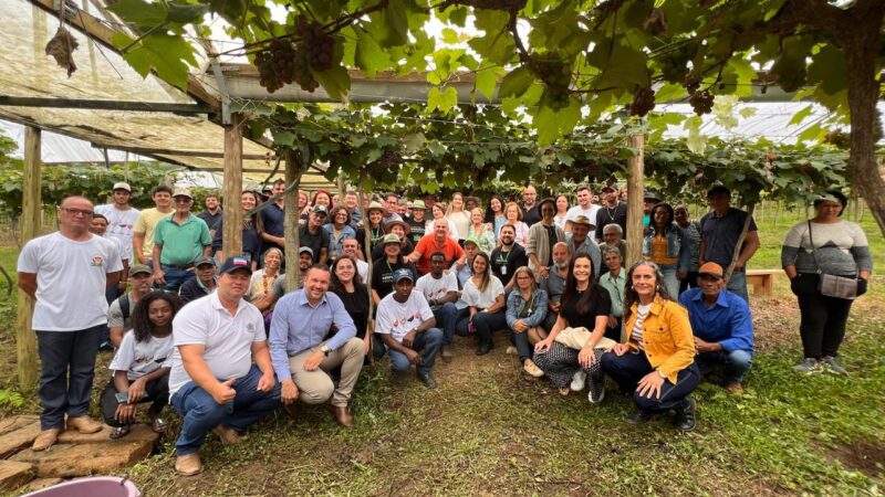 Agricultura em Foco: Vargem Alta lança o primeiro Dia de Campo nos Arranjos Produtivos