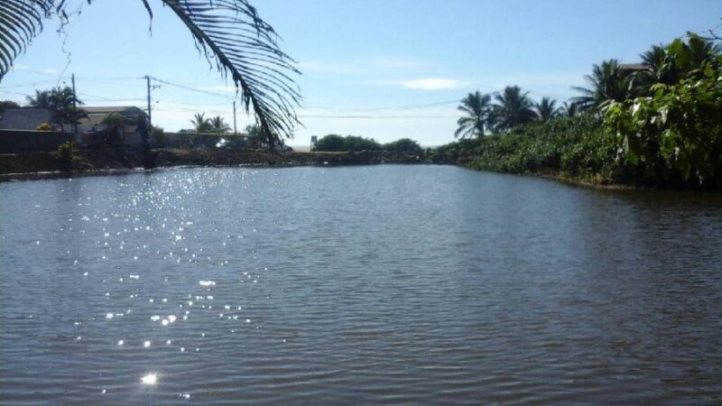 Ação de limpeza na Lagoa do Baú é promovida pelo Meio Ambiente neste sábado (15)