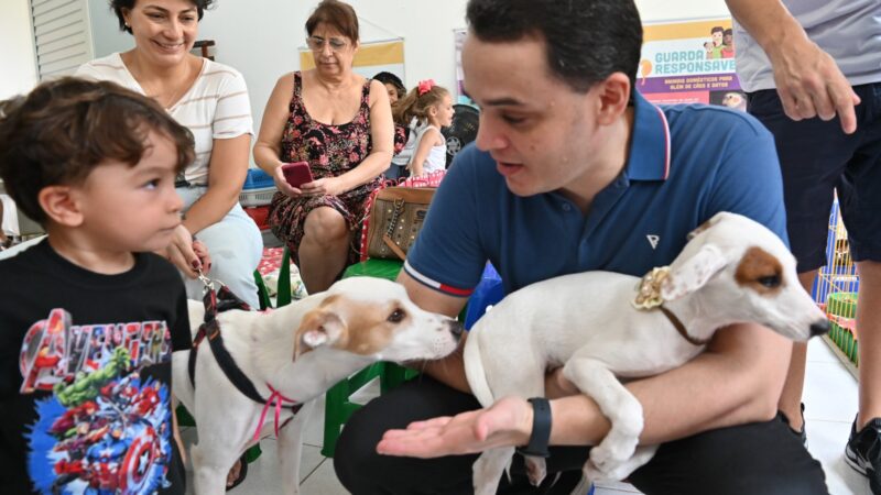 PMV define contratada para as obras do Centro Municipal de Adoção de Animais