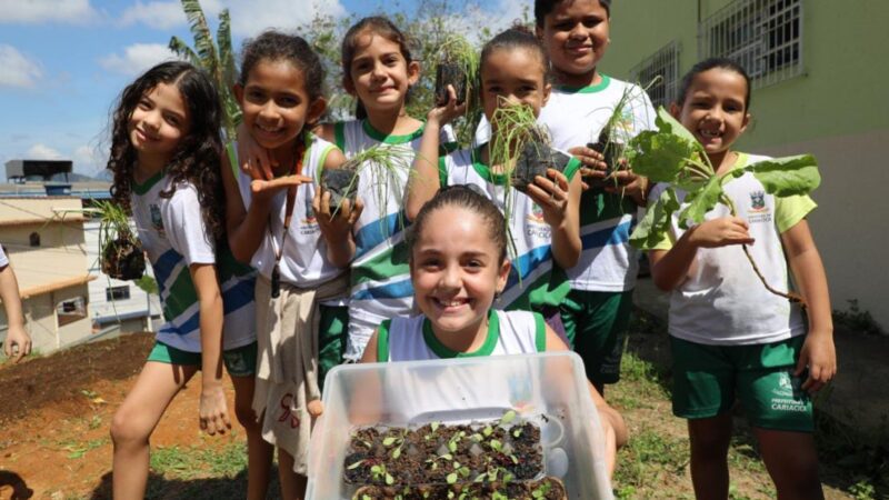 Horta Escolar inspira alunos a plantar, cultivar e colher seu próprio alimento