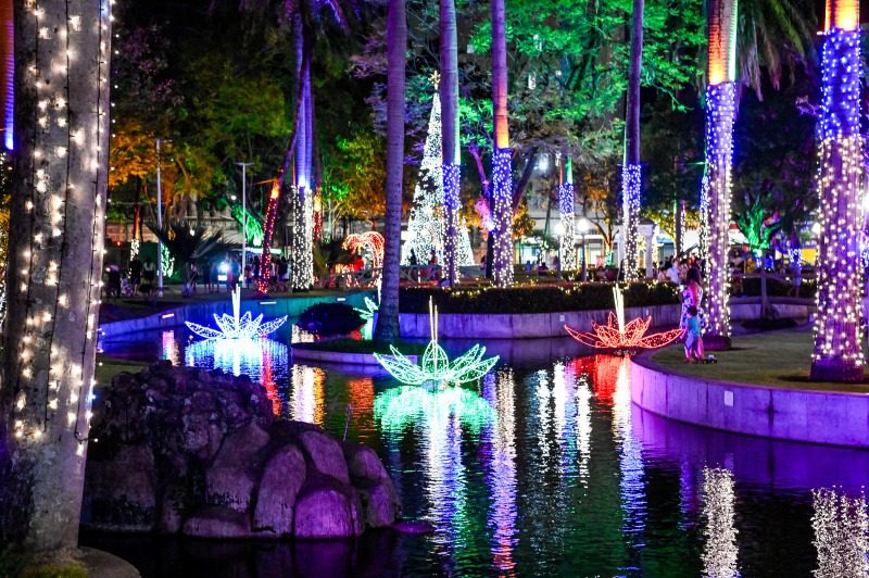 Natal de Encantos transforma o Parque Moscoso em um cenário de sonhos e alegria