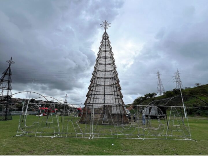 Vila de Natal ganha toque especial com decoração das árvores feita por instituições sociais