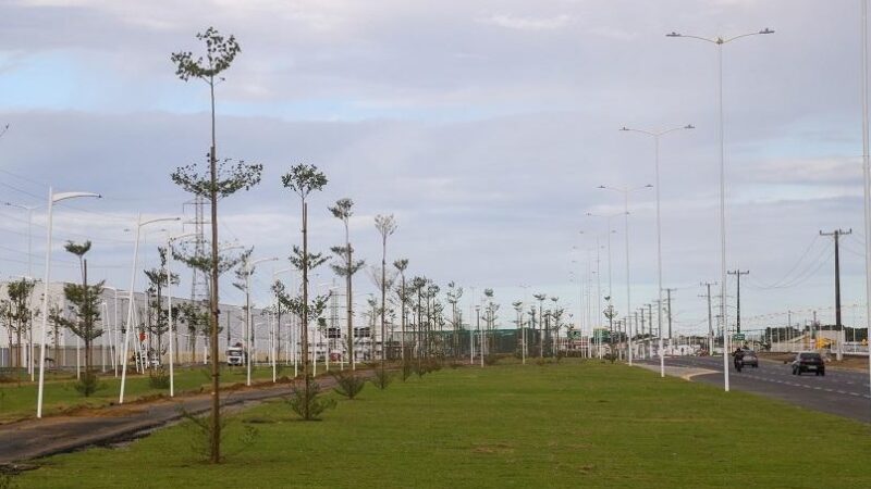 Estudantes vão plantar mudas de árvores no parque linear do Sistema Viário Sérgio Rogério de Castro