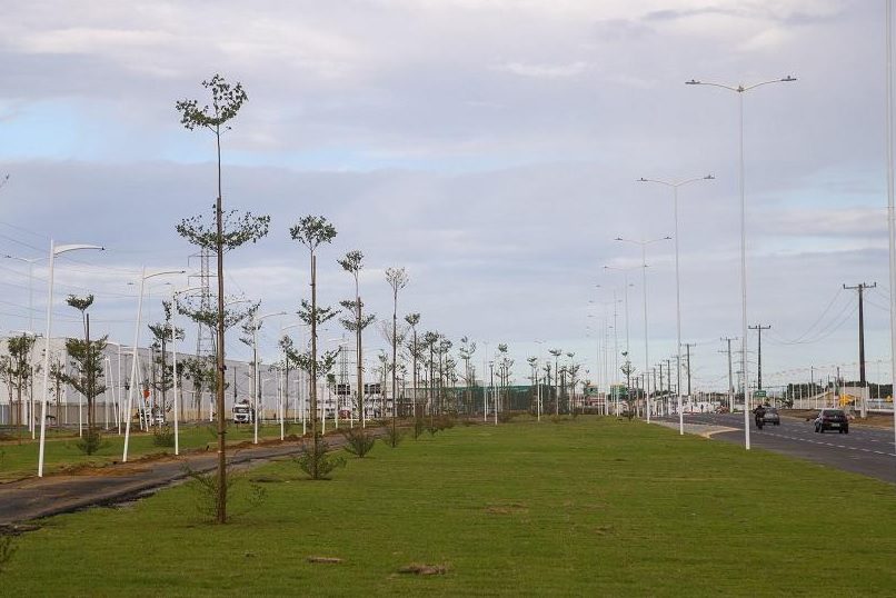 Estudantes vão plantar mudas de árvores no parque linear do Sistema Viário Sérgio Rogério de Castro